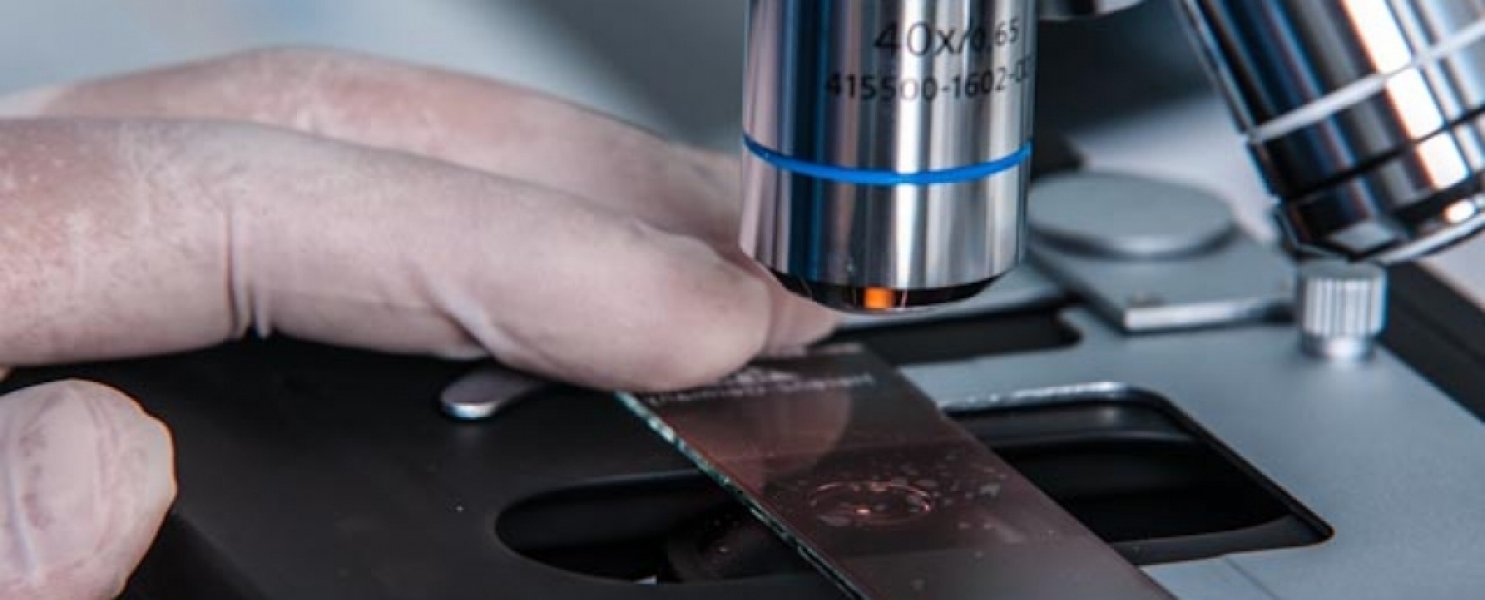 Mikrografia – mikrobiologia bez tajemnic Mikrografia – mikrobiologia bez tajemnic